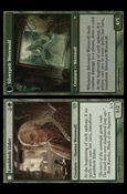 Magic the Gathering: Dark Ascension (Base Set) card 122 Lambholt Elder / Silverpelt Werewolf