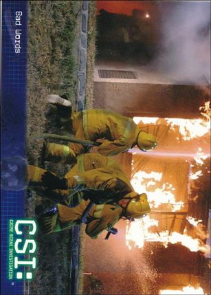 CSI: Crime Scene Investigation - Series Two (Base Set) card 44 Bad Words