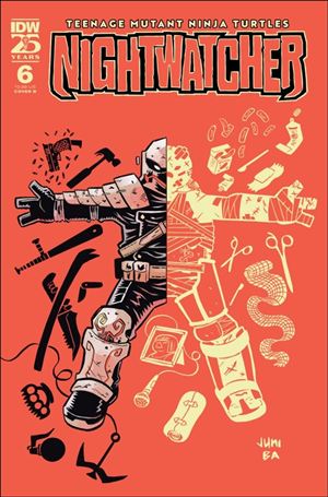 Teenage Mutant Ninja Turtles: Nightwatcher issue 6-B Juni Ba Cover