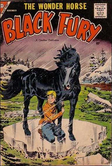 Black Fury issue 16