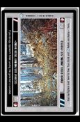 Star Wars: Endor Limited (Base Set) card 165 Endor: Rebel Landing Site (Forest)