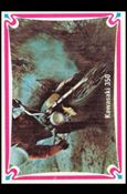 Choppers & Hot Bikes (Base Set) card 50 Kawasaki 350