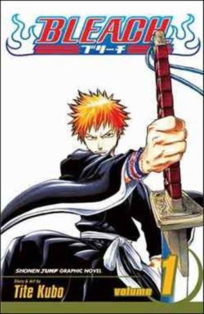 Bleach Cover Image 1