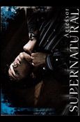 Supernatural: Season One (Base Set) card 25 Agressor