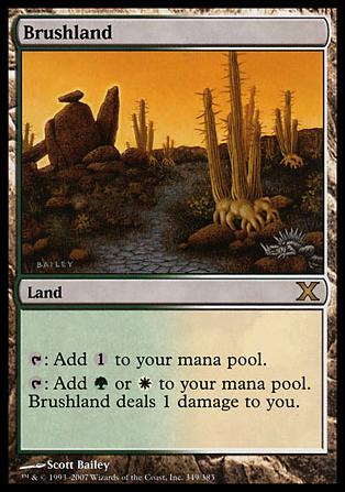 Magic the Gathering: 10th Edition (Base Set) card 349 Brushland
