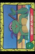 Teenage Mutant Ninja Turtles: Series 1 (Base Set) card 48 