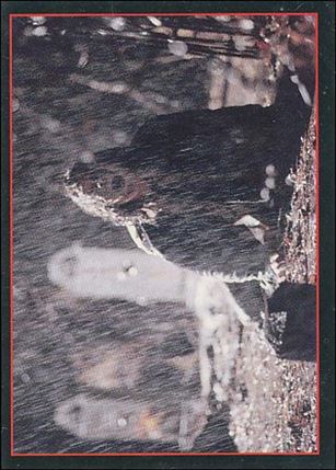 Crow: The Movie (Base Set) card 12 Rude Awakening