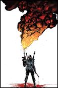 Burning Fields issue 1-C Riley Rossmo 1:20 Virgin Cover