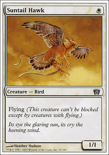 Magic the Gathering: 8th Edition (Base Set) card 51 Suntail Hawk