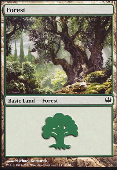 Magic the Gathering: Duel Decks: Knights vs. Dragons (Base Set) card 46 Forest