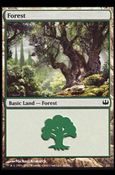 Magic the Gathering: Duel Decks: Knights vs. Dragons (Base Set) card 46 Forest