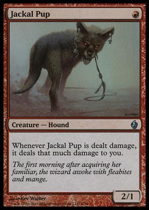 Magic the Gathering: Premium Deck Series: Fire & Lightning (Base Set) card 2 Jackal Pup