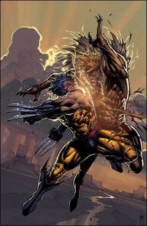 Wolverine: Revenge issue 2-G Stephen Platt Virgin 1:25 Cover (Second Printing)