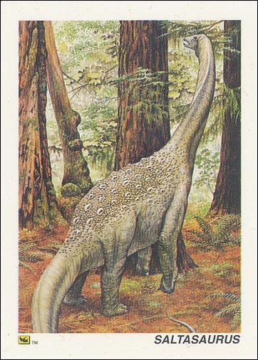 DinoCardz (Base Set) card 17 Saltasaurus
