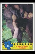 Teenage Mutant Ninja Turtles Movie (Base Set) card 73 Topsy-Turvey Turtle!