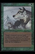 Magic the Gathering: Limited Edition Alpha (Base Set) card 184 Aspect of Wolf