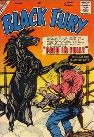 Black Fury issue 21