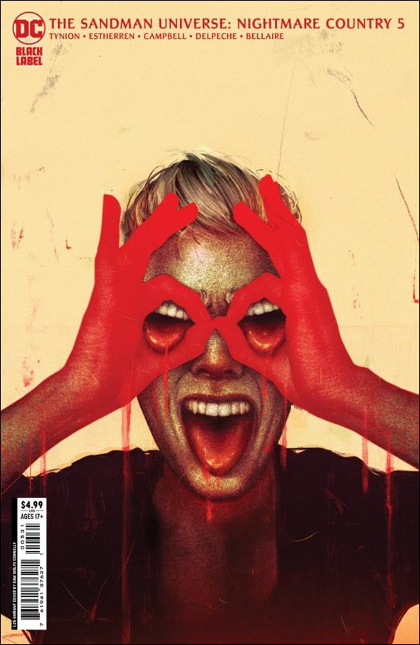 Sandman Universe: Nightmare Country issue 5-C Sam Wolfe Connelly 1:25 Cardstock Cover