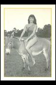 Bunny Yeager's Bettie Page (Base Set) card 37