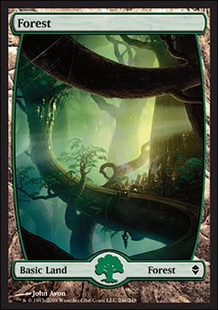 Magic The Gathering: Zendikar (Base Set) card 246 Full Art Lands (Forest)