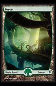 Magic The Gathering: Zendikar (Base Set) card 246 Full Art Lands (Forest)