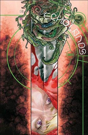 Echolands issue 2-E J.H. Williams III Cover (2nd Printing)