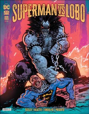 Superman vs Lobo issue 3-B Daniel Warren Johnson Cover