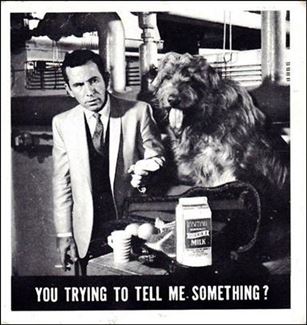 Get Smart (Base Set) card 26 You Trying to Tell Me Something?