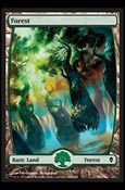 Magic The Gathering: Zendikar (Base Set) card 248 Full Art Lands (Forest)