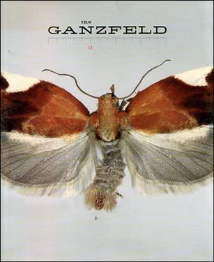Ganzfeld issue 3