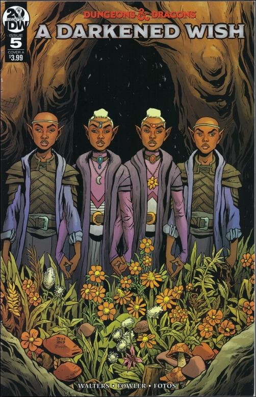 Dungeons & Dragons: A Darkened Wish issue 5 Tess Fowler Cover