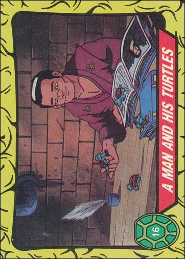 Teenage Mutant Ninja Turtles: Series 1 (Base Set) card 16 A Man and His Turtles