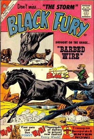 Black Fury issue 25