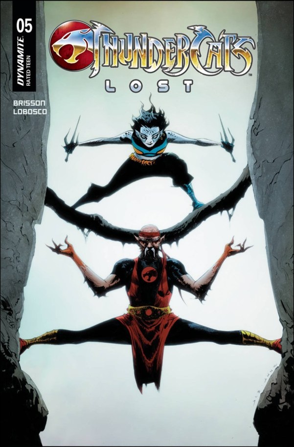 Thundercats: Lost issue 5-E Jae Lee Cover