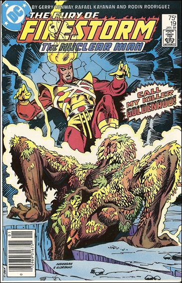 Fury of Firestorm issue 19