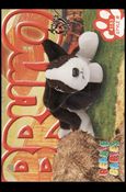 Beanie Babies Series 3 (Artist Proof Parallel Base Set) card 66 Bruno