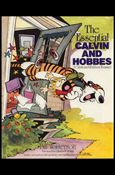 Calvin and Hobbes Treasury Cover Image 1