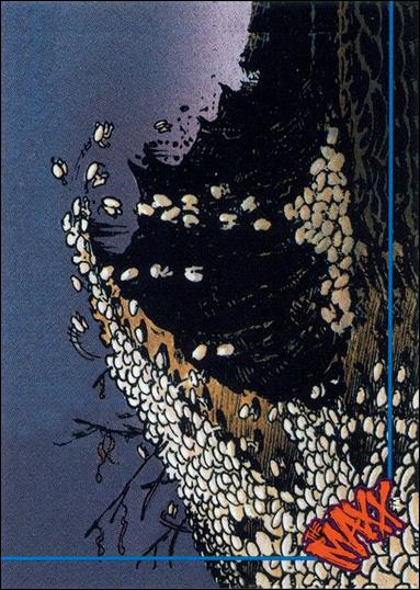 Maxx (Base Set) card 31 Leaping into Eternity