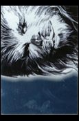 Star Wars Galaxy: Series 4 (Foil Subset) card 6 Silver Foil