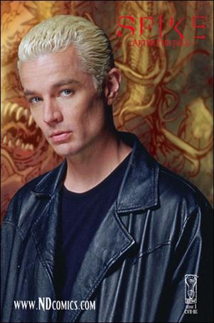 Spike: After the Fall issue 1-J New Dimension Comics Photo Cover 1/1000