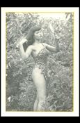 Bunny Yeager's Bettie Page (Base Set) card 22