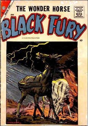 Black Fury issue 14