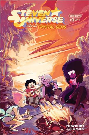 Steven Universe and the Crystal Gems issue 1-E Allison Strejlau Newbury Comics Cover