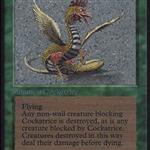 MTG: Cockatrice