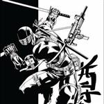 Cobra Civil War