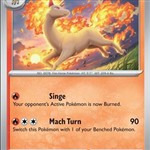 Rapidash