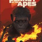 Bad Ape
