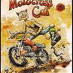 Motocross Cat