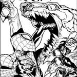 Spider Slayer