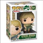 Steve Irwin